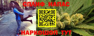 гидра Обнинск